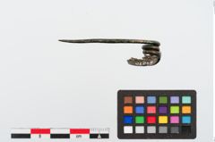 Foto von Bronzekahnfibel (NHMW-PRAE-024315)